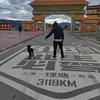 小秃子旅行记头像