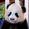 壹仔King（每天播小月亮）头像