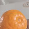 用户3738065546296朝阳人头像