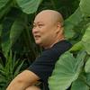 石城小胖头像