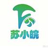 苏小皖头像
