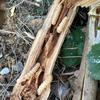 户外小何头像