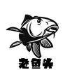 老鱼头yu头像