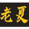 苍孙老夏头像