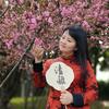 泗阳妙笔生花书法《双语校区》头像