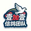 信鸽壹加壹头像