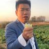萝卜支书头像