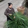 燕子和春哥的山居生活头像
