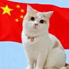 释迦摩尼的爱国喵🇨🇳头像