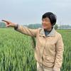 国涛妈妈（7月19号粉皮粉条梅氏咸鸭蛋等头像