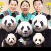 福猪猪是bao头像