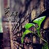 龙顺二手车—阿鹏头像