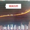 套利头像