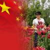 高高🇨🇳头像