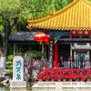 山东名哥头像