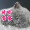 晴晴说剧头像