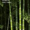 山东老靳漫游记头像