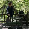王师在流浪头像