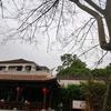 小马97头像