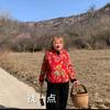 农村燕子头像