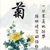 秋菊傲霜头像