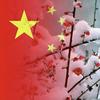 将心比心头像