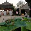 步云墙纸墙布头像