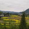 大山头像