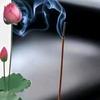 城市穿行者头像