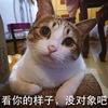 小朝电子头像
