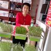 蒲县慈孝堂店主头像