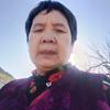 杨金兰头像
