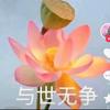 刘头像