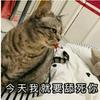 wuhanlin2头像