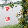 悠游头像