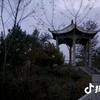 高山流水cxr头像