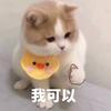 刘陈陈呀头像