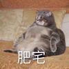 肥宅世良头像