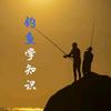 钓鱼小技巧头像