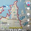 袁园头像
