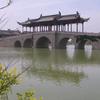 常青爱旅游头像