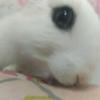 zmclmj头像