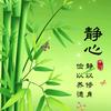 欣若曦阳头像