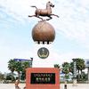 大城衡阳头像