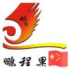 鹏程头像