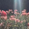 河南姑娘在甘肃头像