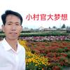 凤翔小村官头像