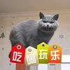 皮皮猫头像
