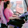 卡车🚚女司令（单驾）头像