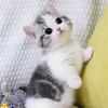 江边玩水头像